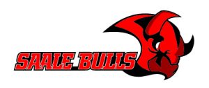 Saale Bulls